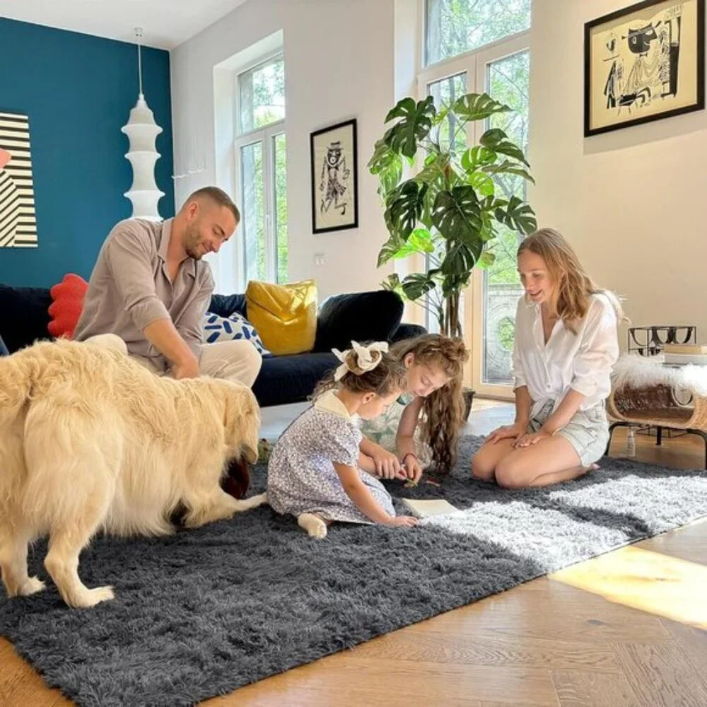 New Area Rugs for Living Room, Machine Washable Soft Shaggy 4x5.9 Feet Grey Rug